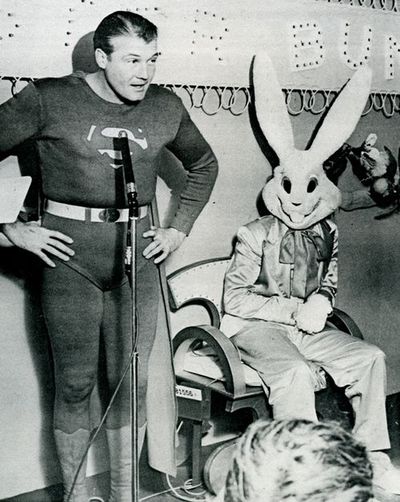 superman-and-bunny